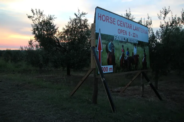 Riders on a guided hack through the Istrian countryside