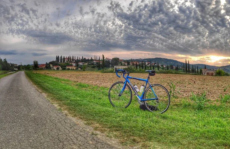 The Parenzana walking and cycling trail running between trees