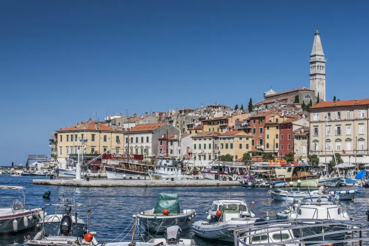 Rovinj old town rising above its harbour