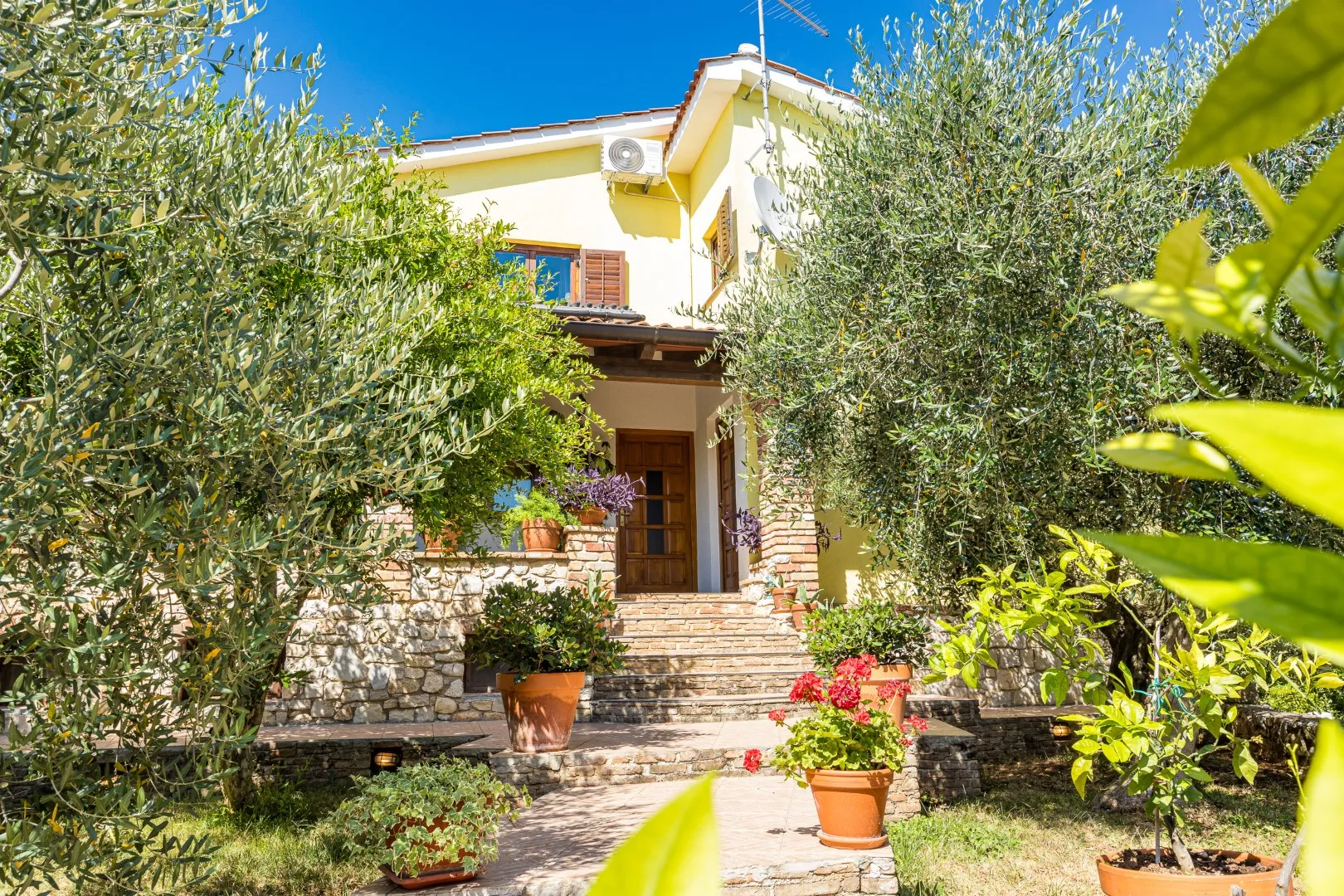 The front steps and timber door, framed by olive trees and pots of geraniums
