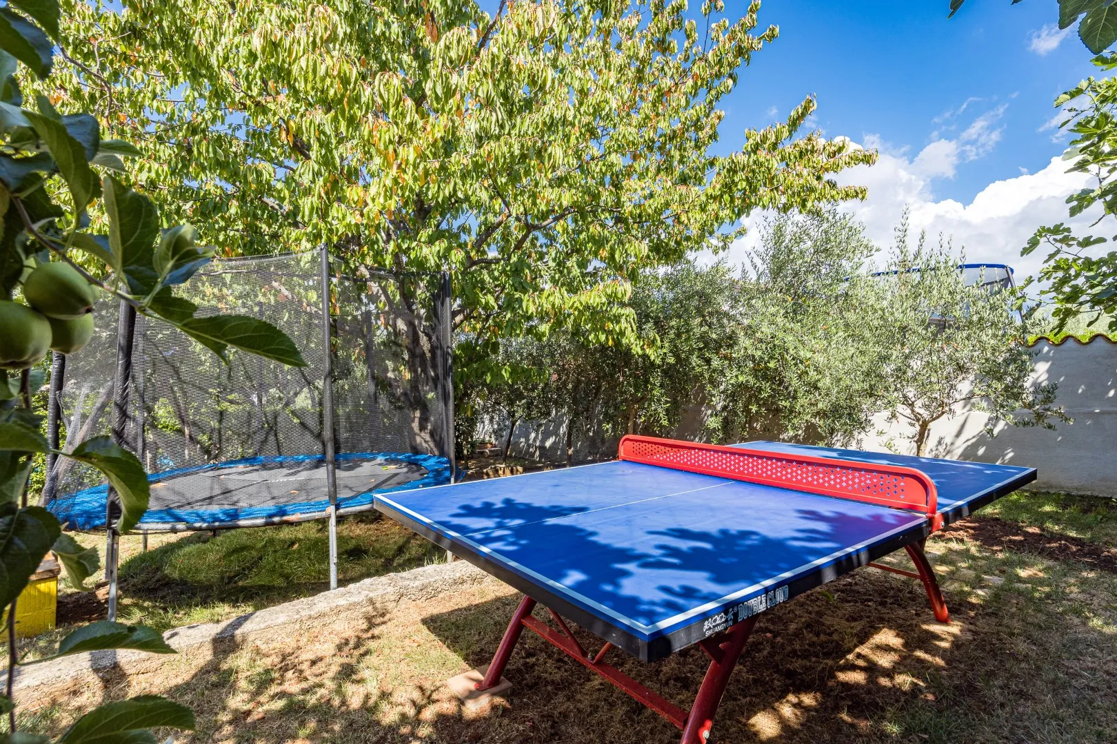 The ping-pong table set up in the garden