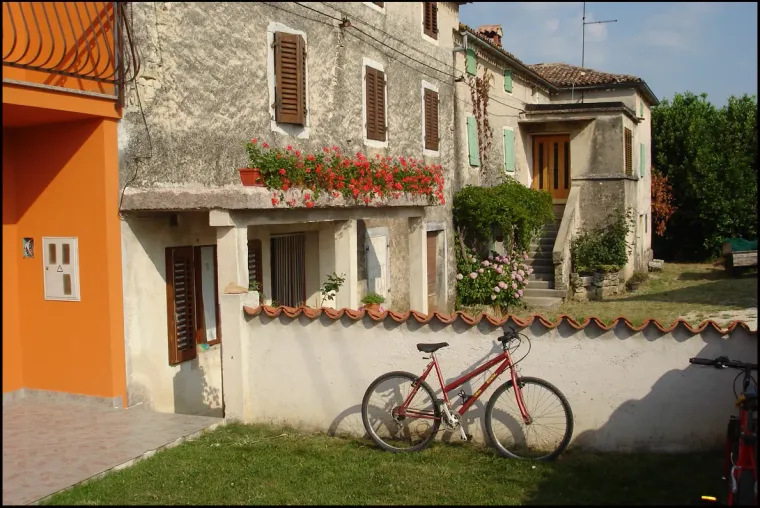 A small family farm and its vines near Vrbani in inland Istria